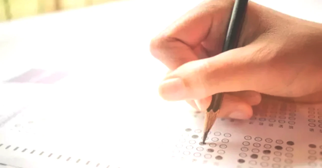 AÖL 2025 3. Dönem Sonuçları Açıklandı! Sonuç Sorgulama Nasıl Yapılır?