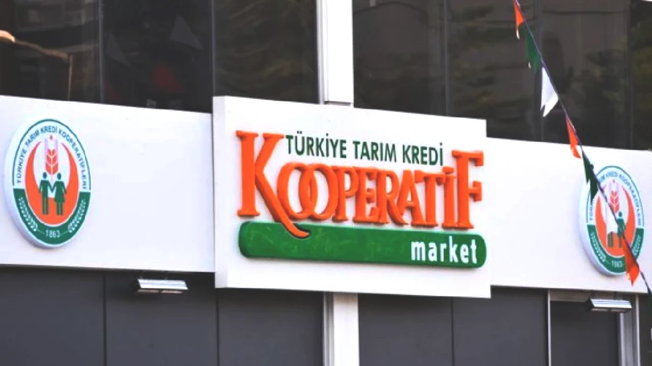 Tarım Kredi'de Zeytinyağı Alışverişi! 26-27 Temmuz 2025 Kataloğuyla Kaçırılmayacak Fırsatlar