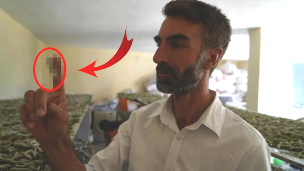 Üretime Geçenler Kazanç Elde Ediyor! 50 Günde Binlerce Lira Alım Garantisiyle!