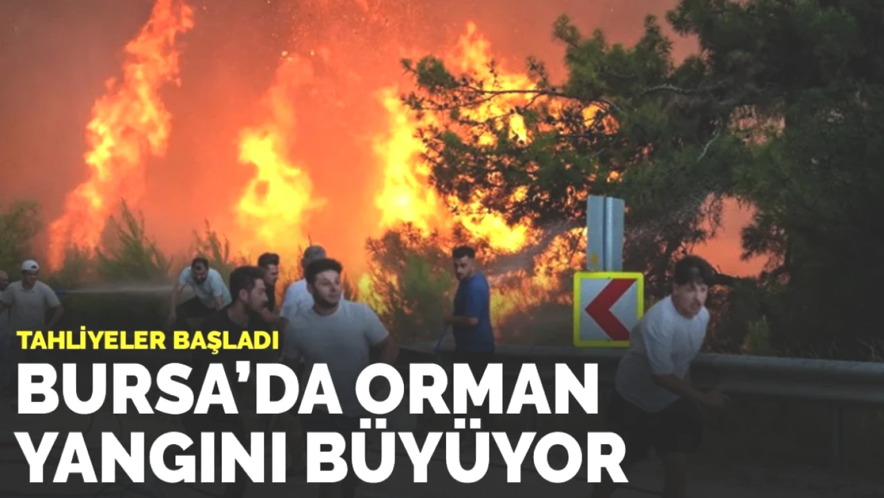 Bursa'da Yangın Alarmı! Orman Yangını Büyüyor, Tahliyeler Başladı!