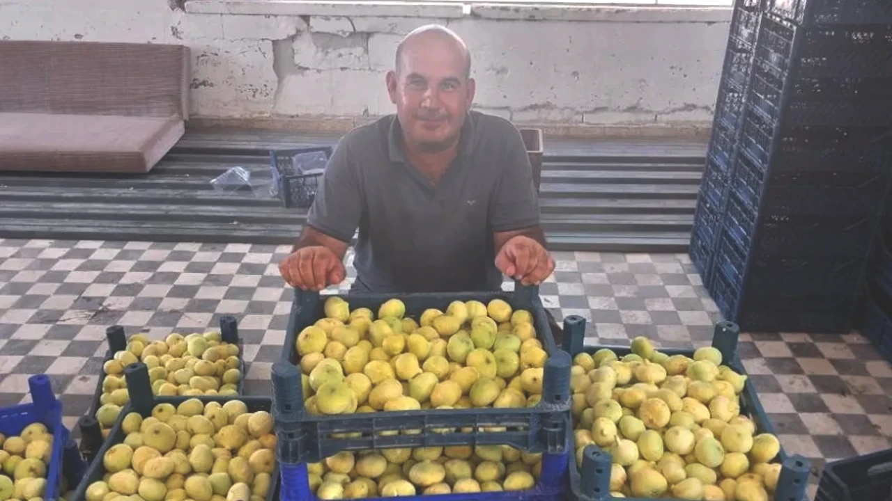 Altın Fiyatları Zirveye Çıktı! Almanya ve Dubai'ye İhracat Patladı!