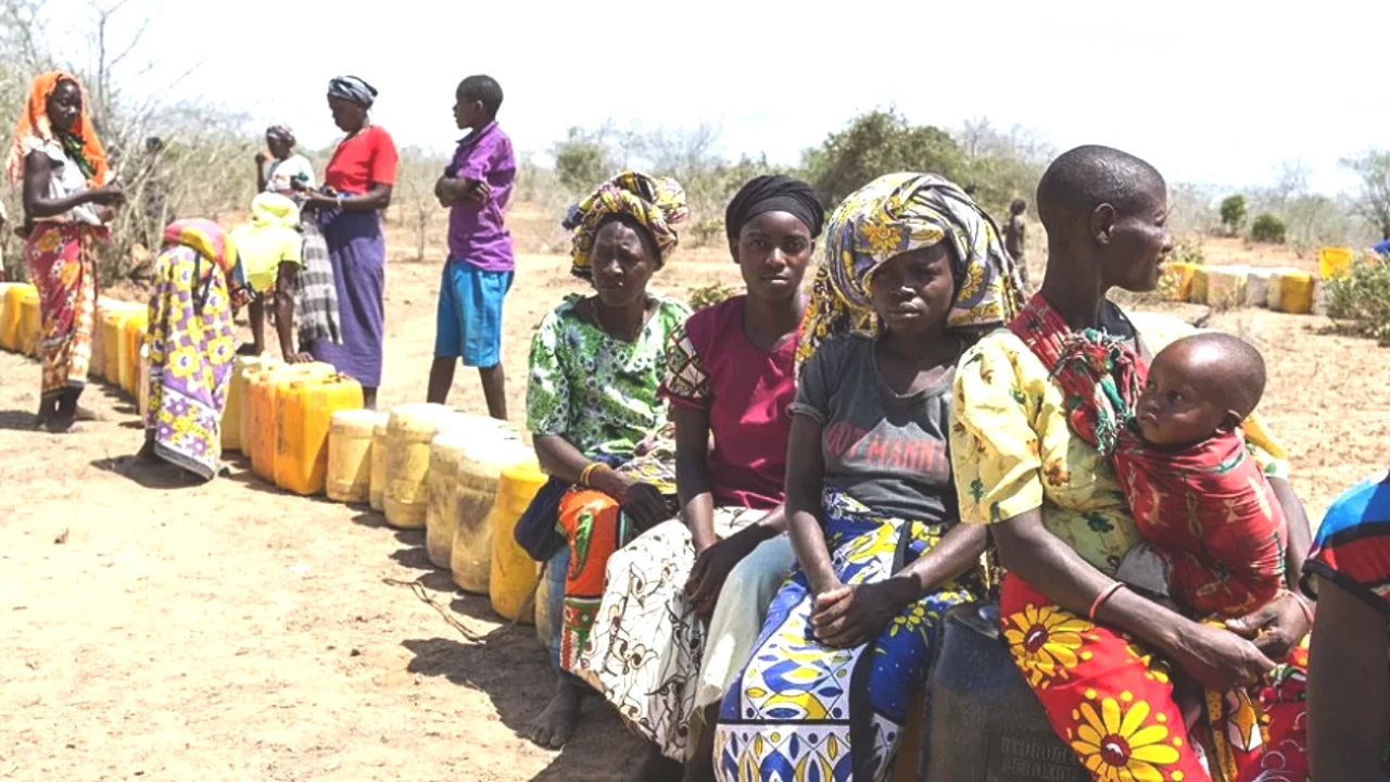 Türkiye'nin Afrika ile Ticaretinde Tarihi Başarı: Hacim 36,6 Milyar Doları Geçti!